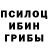 Псилоцибиновые грибы MAGIC MUSHROOMS Stefan Milosevic