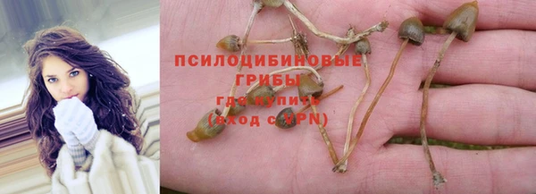 альфа пвп Белокуриха