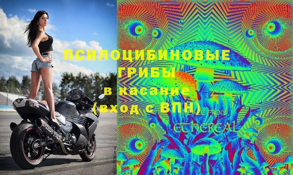 альфа пвп Белокуриха