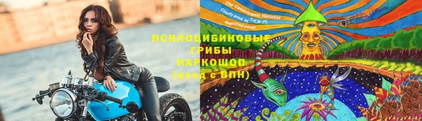 a pvp Беломорск
