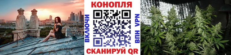 цены наркотик Курильск МАРИХУАНА VHQ